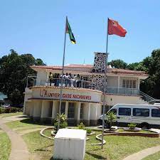Edital Universidade Nachingwea 2024